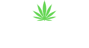 Law Offices of David Sloane, PLLC. The420Lawyer.org