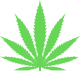 Green cannabis leaf icon